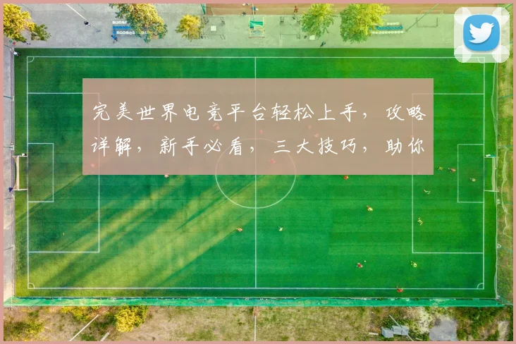 完美世界电竞平台轻松上手，攻略详解，新手必看，三大技巧，助你畅游电竞世界