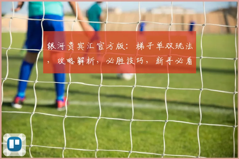 银河贵宾汇官方版：梯子单双玩法，攻略解析，必胜技巧，新手必看，三步入门