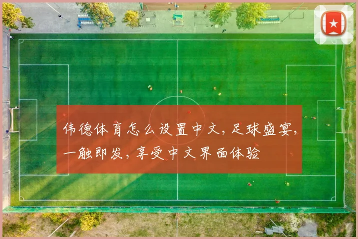 伟德体育怎么设置中文,足球盛宴,一触即发,享受中文界面体验