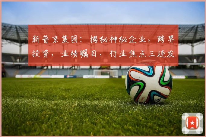 新普京集团：揭秘神秘企业，跨界投资，业绩瞩目，行业焦点三连发
