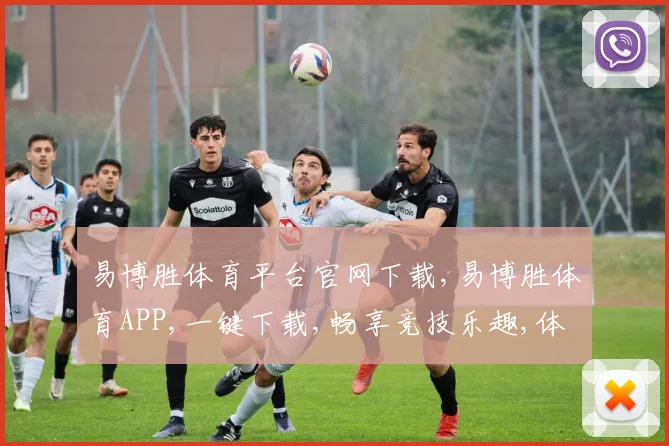 易博胜体育平台官网下载,易博胜体育APP,一键下载,畅享竞技乐趣,体验非凡赛事