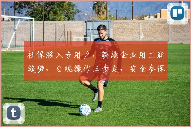 社保移入专用户，解读企业用工新趋势，合规操作三步走，安全参保无忧